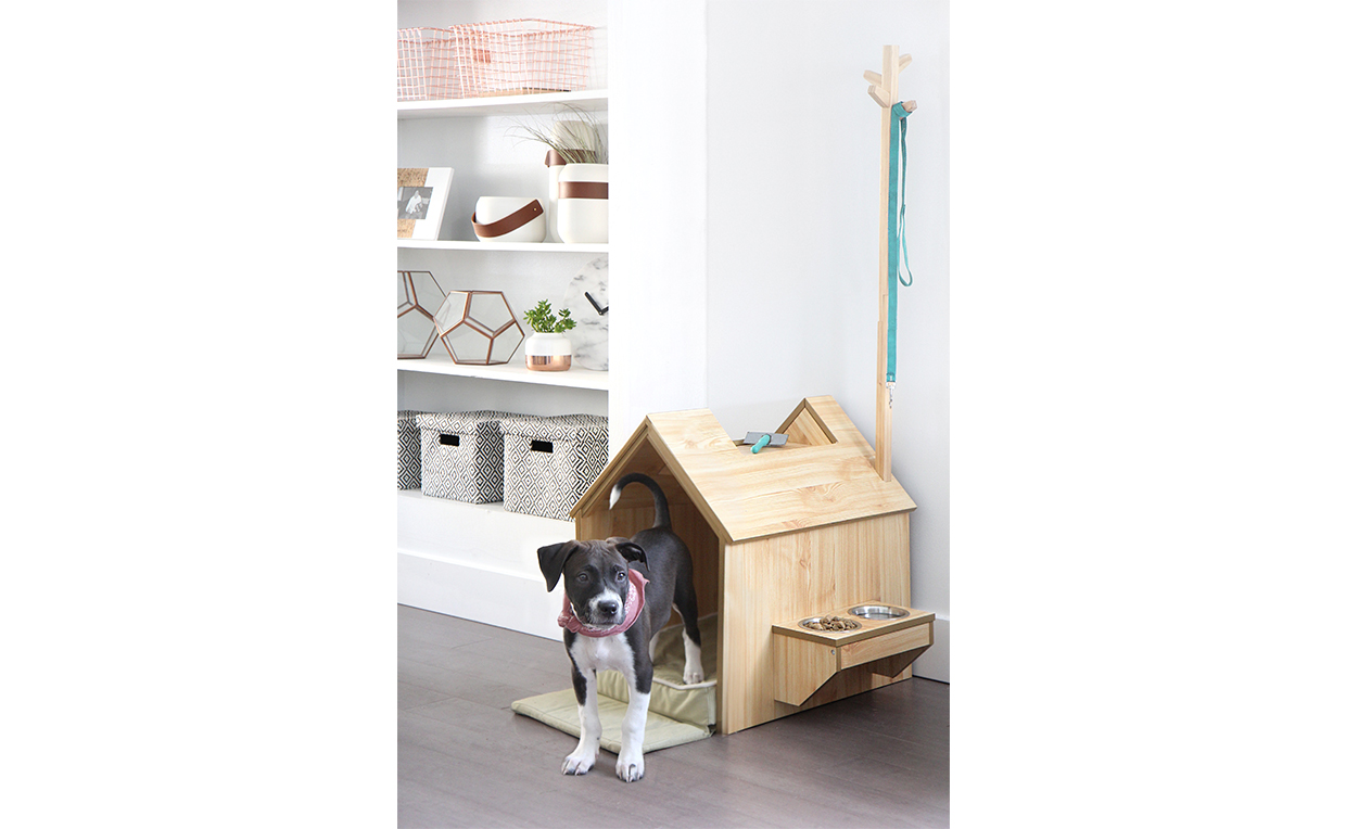 Blog2_1240x764_05.jpg Puppy, dog house, entryway, pet, dog leash